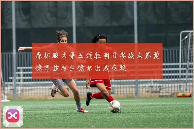 森林狼力争五连胜明日客战灰熊爱德华兹与兰德尔出战存疑